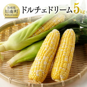 yӂ邳Ɣ[Łzr[Ly[yߘa8Nz{茧YƂ낱@ǂI畔񂿂̃h`Fh[5kg - s\ ʌ Ԍ XC[gR[ Ƃ낱 