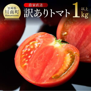 【ふるさと納税】【訳あり】宮崎県産トマト 川南町産トマト1kg - とまと トマト 宮崎県産 川南町産 農家直送 送料無料 C06602