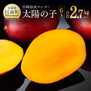 yӂ邳Ɣ[Łzyߘa8Nz{}S[ z̎q6ʁi2.7kgȏj - ʕ t[c }S[ {茧Y ݂₴}S[  C06703