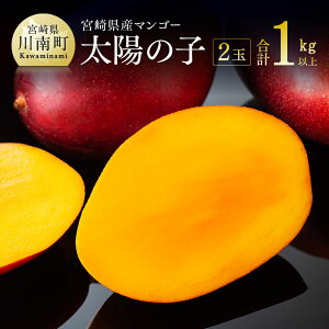 yӂ邳Ɣ[Łzyߘa8Nz{}S[ z̎q2ʁi1kgȏj - ʕ  t[c {}S[  C06701