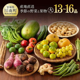 【ふるさと納税】産直 おすず村 お楽しみ 厳選詰め合わせセット（大） - 宮崎県産 川南町産 季節の旬な新鮮野菜 果物 お取り寄せ 送料無料 G3803
