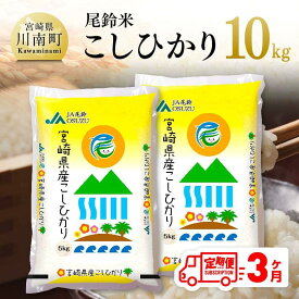 【ふるさと納税】【3ヶ月定期便】（令和5年産）尾鈴農協産 白米「こしひかり」10kg - 米 白米 お米 新米 国産 2023年産 JA尾鈴米 こしひかり 全3回 送料無料 E3808t3