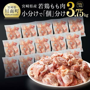 yӂ邳Ɣ[Łzr[Ly[ {茧Y {ؐg 3.75kgi250g×15܁j {   BY {  uԗⓀ IQF { g ē BBQ  D00706