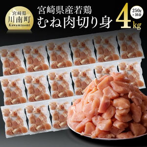 yӂ邳Ɣ[Łz r[Ly[sJbgς݁t {茧Y { ނ˓ ؐg 4kg (250g×16) - {   { l e  Ղ 4kg Y BY  {茧 