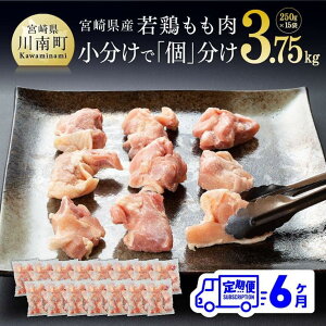 yӂ邳Ɣ[Łzr[Ly[ q6ցr{茧Y {ؐg 3.75kg ŕ֗I - {      Ⓚ Y BY 6͂ D00706t6