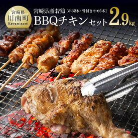 【ふるさと納税】 宮崎県産若鶏 BBQチキンセット(バラエティセット串8本×4P/骨付きモモ×5本）タレ付き!肉 鶏肉 串 骨付き バーベキュー 九州産 おうち時間 おうちごはん 送料無料 川南町 E6903