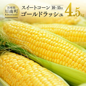 【ふるさと納税】【令和6年発送】 宮崎県産とうもろこし 大山さんちの スイートコーン ゴールドラッシュ 4.5kg - 先行予約 数量限定 期間限定 季節限定 送料無料 とうもろこし 2024年発送 大山農園 九州産 宮崎県産 川南町産 4.5kg E7104