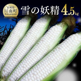 【ふるさと納税】 【令和6年発送】 宮崎県産とうもろこし 大山さんちの ホワイトコーン (雪の妖精) 4.5kg - 先行予約 数量限定 期間限定 季節限定 送料無料 とうもろこし 大山農園 スイートコーン E7102