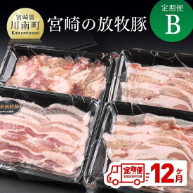 【ふるさと納税】※レビューキャンペーン※ 豚肉 肉 定期便 お楽しみ セット 宮崎の放牧豚 定期便B　（12ヶ月）九州産 宮崎県産 お取り寄せ 送料無料 G8103