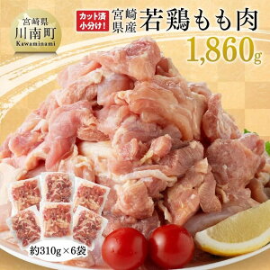 yӂ邳Ɣ[Łz{茧Y {  1,860g - {    炠 `L Y BY {茧Y {茧 쒬  E7205