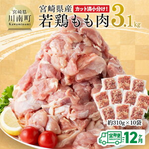 yӂ邳Ɣ[Łzr[Ly[y12ցz {茧Y {  3.1kg - {    Ղ 3kg I[o[ e  Jbgς  炠 `L 