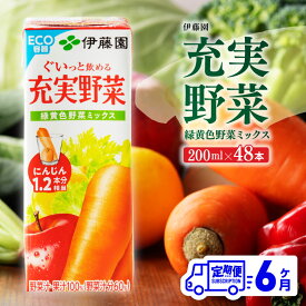 【ふるさと納税】※レビューキャンペーン※伊藤園 充実野菜 緑黄色野菜ミックス（紙パック）200ml×48本 【6ヶ月定期便】 - 全6回 飲料類 ドリンク ソフトドリンク 野菜ジュース 野菜 ジュース ミックスジュース 飲みもの 定期便 D07322t6