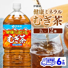 【ふるさと納税】※レビューキャンペーン※ 伊藤園 健康ミネラル むぎ茶 カフェインゼロ 2L×6本×2ケース 定期便 6ヶ月 送料無料【麦茶 備蓄 ペットボトル セット カロリーゼロ 2L ソフトドリンク 飲料 飲み物 全6回 D07303t6】