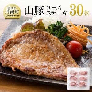 yӂ邳Ɣ[Łzr[Ly[ R؃[XXe[L 100g×5×6P v30 3kg! | ؓ  {茧Y Ԃ  G7502