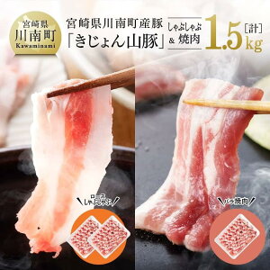 yӂ邳Ɣ[Łzr[Ly[{茧Yuh R [XԁEoēZbgs쒬YuR؁vty  ؓ [X o {茧Y BY ₵ ē 