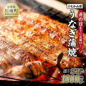 【ふるさと納税】※内容量が選べる※ 【丑の日までにお届け！】 ひむか山道うなぎ蒲焼 - 国産 ウナギ 鰻 宮崎県産 川南町産 九州産 ふるさと納税 ウナギ おかず 惣菜 冷凍 送料無料 B08401 B08402 B08403 B08404 B08405 B08406 B08407 B08408 B08409