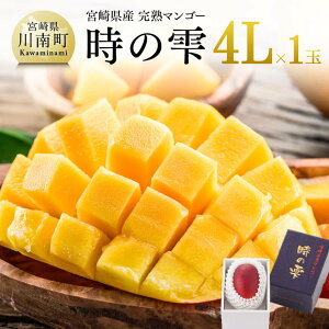 yӂ邳Ɣ[Łzyߘa8Nz{茧Y n}S[u̎v 4L×1 - ʕ t[c }S[ {茧Y BY n}S[ ݂₴}S[ s\ ʌ Ԍ  