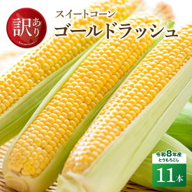 【ふるさと納税】【訳あり】令和8年産とうもろこし　スイートコーン「ゴールドラッシュ」11本 - とうもろこし とうきび トウモロコシ 先行予約 朝どれ 野菜 宮崎県産 川南町産 国産 新鮮 農家直送 産地直送 季節限定 送料無料 宮崎県川南町C09101