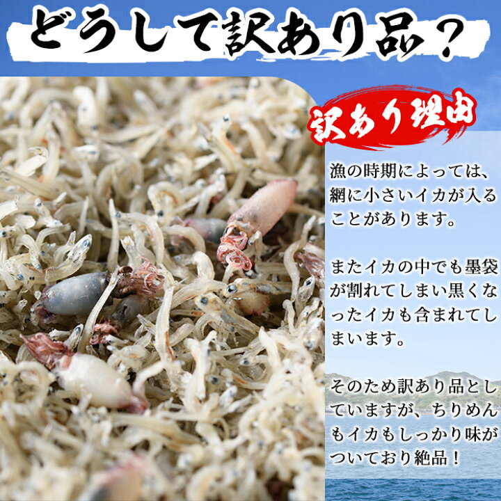 楽天市場 ふるさと納税 訳あり 数量限定 岩田水産いか入りちりめん 計1kg 100g 10p 天然海塩のみ使用 小さなイカが混ざっているための訳アリ品 As 6 岩田水産 宮崎県門川町 楽天市場 ふるさと納税 訳あり 数量限定 岩田水産いか入りちりめん 計1kg 100g 10p 天然海塩のみ使用 小さなイカが混ざっているための訳アリ品 As 6 岩田水産 宮崎県門川町