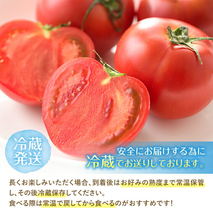 【ふるさと納税】<2023年1月~5月の間に発送予定>期間限定!門川町産!かどがわひなたのとまと(計2.2kg・1.1kg×2箱 )糖度はなんと9〜11度!【A-3】【新門トマト農園】 宮崎県門川町 ふるさと納税 仁淀川町 てっぺんとまと特上品・夏秋限定 特上品 1kg 1箱