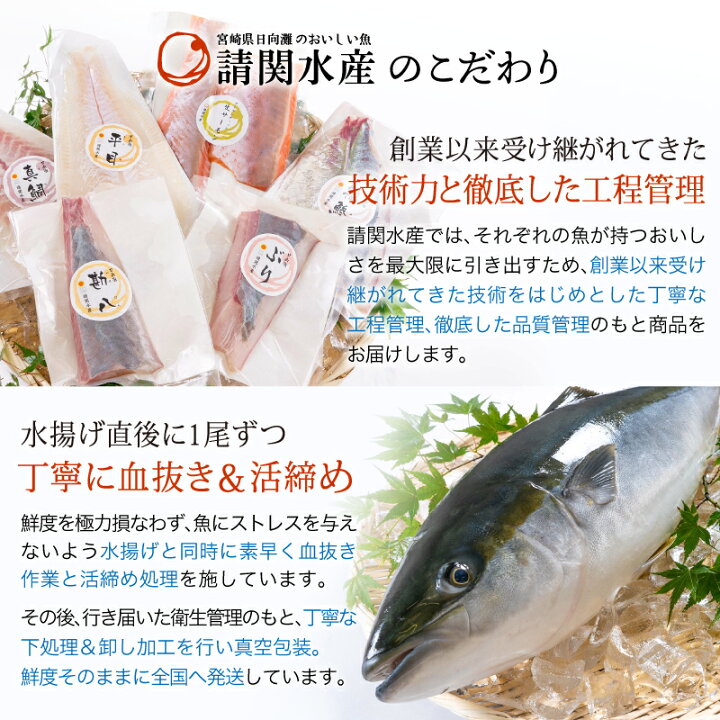 楽天市場 ふるさと納税 新鮮 日向灘ぶりのお刺身 約400 550g 袋から出して切るだけ 自宅で簡単調理 Ap 34 日向屋 宮崎県門川町
