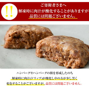 【ふるさと納税】<A4等級以上>宮崎県産!高千穂牛使用のハンバーグ(計10個・2個×5P)厳選和牛の牛肉ハンバーグ!【A-121】【JA高千穂地区ミートセンター】