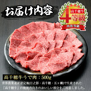 【ふるさと納税】<A4等級以上>宮崎県産!高千穂牛うで肉(500g)厳選和牛の焼肉用ウデ肉!美味しい牛肉をご家庭で!【A-3】【JA高千穂地区ミートセンター】