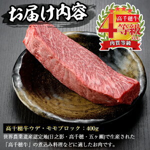 【ふるさと納税】<A4等級以上>宮崎県産!高千穂牛ウデ・モモブロック(400g)厳選和牛の牛肉!【A-123】【JA高千穂地区ミートセンター】