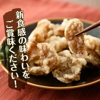 【ふるさと納税】旅するこんにゃく唐揚げ(計2.5kg・500g×5パック)スパイシーでにんにくの効いた唐揚げ!ビールのつまみに!ご飯のおともに!【A-147】【SEWANE】