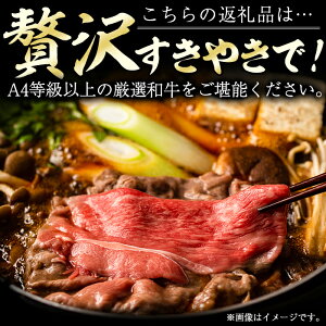 【ふるさと納税】<A4等級以上>宮崎県産!高千穂牛すきやきセット(ロース・モモ各250g)しゃぶしゃぶ・すき焼き用の牛肉!【B-3】【JA高千穂地区ミートセンター】