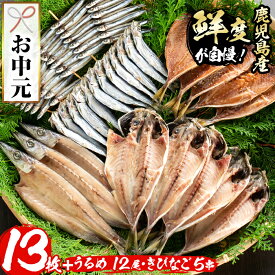 楽天市場 鹿児島 きびなご 刺身の通販