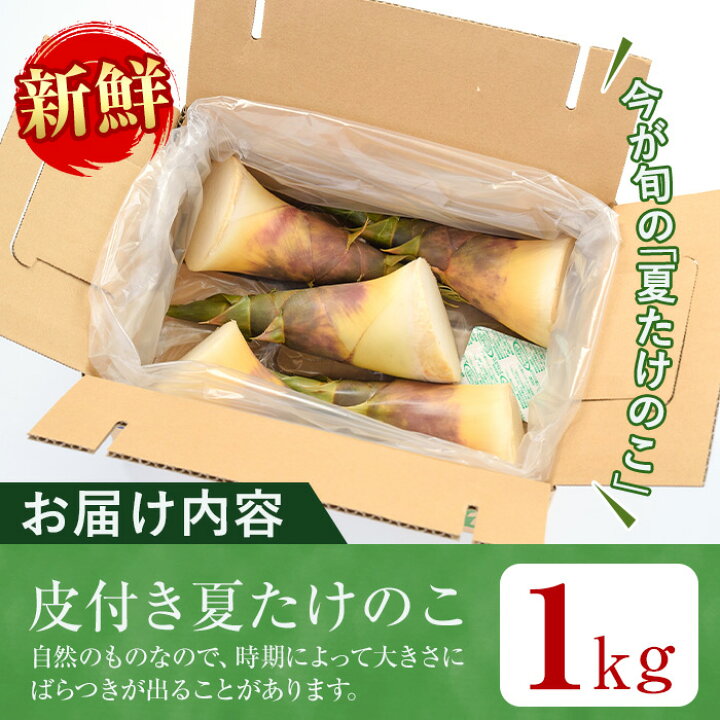 22年完売 生たけのこ 約6kg 5 10本入 3箱 秀品 新タケノコ 中国産 おせち料理食材 フレッシュ筍 孟宗筍 旬の食材 冬笋 竹笋 数量割引対象商品 正規品販売