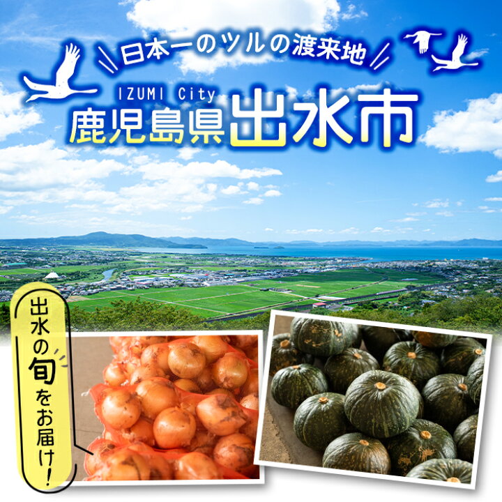楽天市場 ふるさと納税 旬の野菜 果物おまかせセット 8 10種類 ツルの恩返し野菜セット 鹿児島県出水市より国産野菜を市場直送 出水市観光特産品協会 鹿児島県出水市