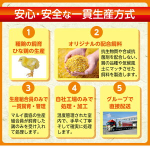【ふるさと納税】南国元気鶏ササミ(300g×30パック・計9kg)鶏肉のササミはあっさりヘルシーな味わい!使いやすいようバラバラの状態で急速凍結!【マルイ食品】