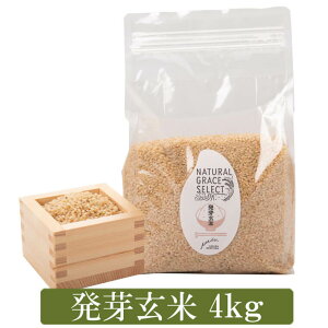 yӂ邳Ɣ[Łz茺 4kgi1kg×4܁j ā@GABAiMoj@e N \Hi ܂ ă}CX^[@I@Y  Fs 