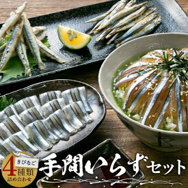 【ふるさと納税】きびなご手間いらずセット 日笠山水産 キビナゴ 刺身 唐揚げ 漁師漬け 天日干し 干物 鹿児島 東シナ海 甑島 上甑島 里