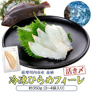 yӂ邳Ɣ[ŁzЂ Ⓚ tB[ 350g q ؂g hg hg  tB Hׂ B  C Fs 