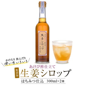 yӂ邳Ɣ[ŁzF IVbv ݂͂d 300ml×2{ AS-413@ѐ|gp I 傤 WW[Vbv  rlK[hN | hN WW[ Vbv 