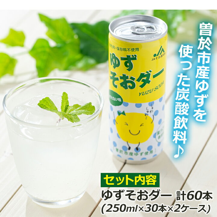 楽天市場】【ふるさと納税】曽於市産ゆずを使った炭酸飲料！ゆずそお 