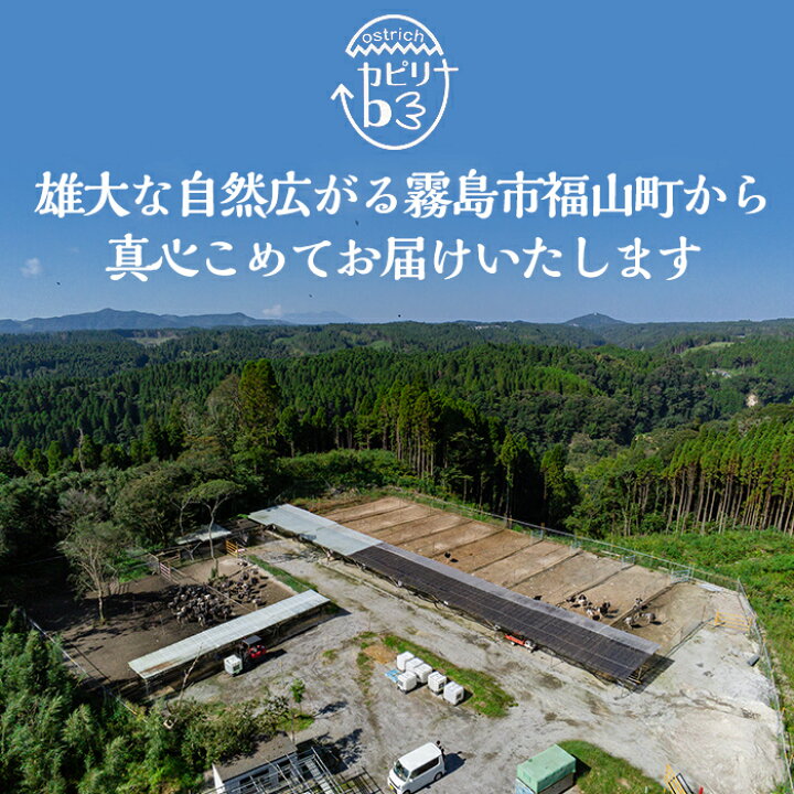 2490円 おすすめネット 送料無料 ビッグバード カピリナ 霧島産ダチョウ肉 赤身三種セット 約1kg フィレ肉 ドラム肉 モモ肉 もも肉 鹿児島県産 ご当地 グルメ お取り寄せ 2490円 おすすめネット 送料無料 ビッグバード カピリナ 霧島産ダチョウ肉 赤身三種セット 約1kg フィレ肉 ドラム肉 モモ肉 もも肉 鹿児島県産 ご当地 グルメ お取り寄せ