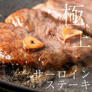 【ふるさと納税】<A5ランク>黒毛和牛ステーキ(250g×2枚)