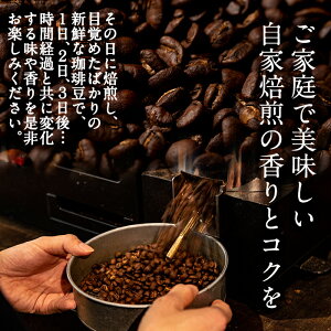【ふるさと納税】自家製コーヒー豆(100g×5袋)焙煎豆の時間経過と共に変化する味や香りを!【SHIRAHAMACOFFEESTAND】