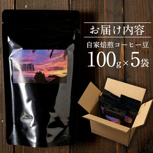 【ふるさと納税】自家製コーヒー豆(100g×5袋)焙煎豆の時間経過と共に変化する味や香りを!【SHIRAHAMACOFFEESTAND】