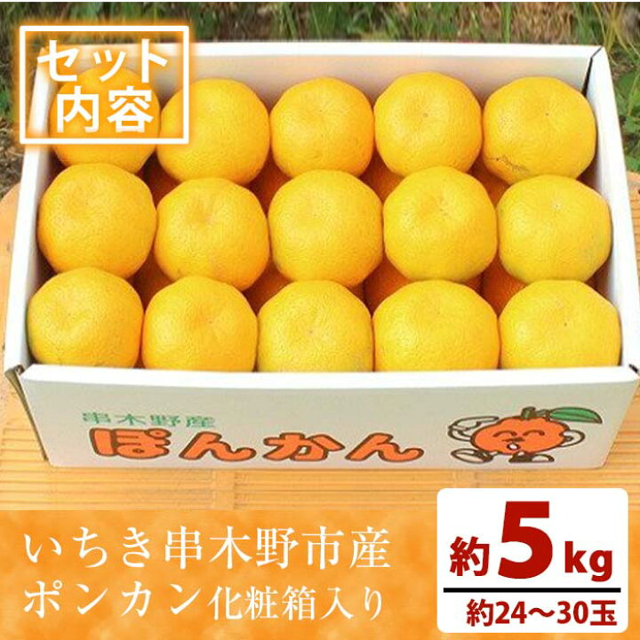 楽天市場】※10001117と集約※【ふるさと納税】池之上果樹園の旬の 