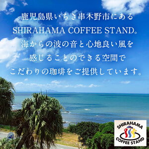 【ふるさと納税】自家製コーヒー豆(100g×5袋)焙煎豆の時間経過と共に変化する味や香りを!【SHIRAHAMACOFFEESTAND】