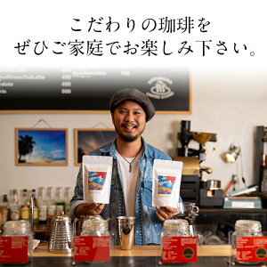 【ふるさと納税】自家製コーヒー豆(100g×5袋)焙煎豆の時間経過と共に変化する味や香りを!【SHIRAHAMACOFFEESTAND】