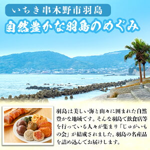 【ふるさと納税】ちりめんとつけあげの羽島名産品セット(10種)羽島名産のちりめんじゃこ、ガネ、ちまきやふくれ菓子等の和菓子を詰め合わせ!【じゅがいもの会】