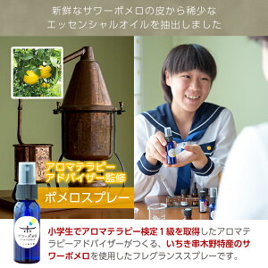 【ふるさと納税】高校生アロマテラピーアドバイザーが作ったポメロスプレー(30ml)と紅茶マイスターセレクトのオリジナルブレンドティー2種類(セコピカル・ご褒美ブレンド)【LeCiel+b2-cafe】