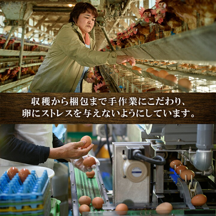 0円 新作グッ ふるさと納税 国産飼料にこだわった鶏が産む安全安心の レモン色たまご 1パック 10個入り ×3 和歌山県九度山町 0円 新作グッ ふるさと納税 国産飼料にこだわった鶏が産む安全安心の レモン色たまご 1パック 10個入り ×3 和歌山県九度山町