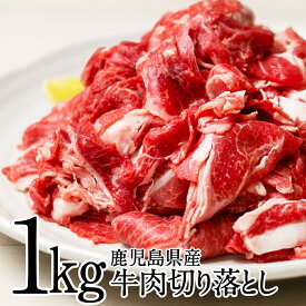 楽天市場 ふるさと納税 牛肉 1kgの通販